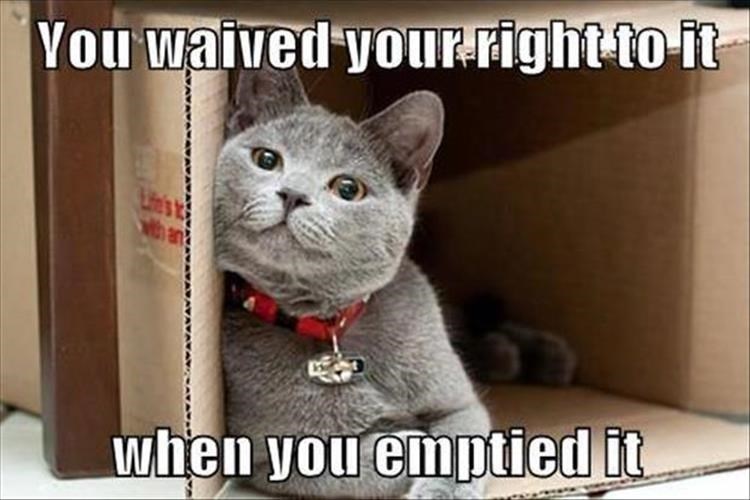 memes funny clean - You waived your right to it when you emptied it