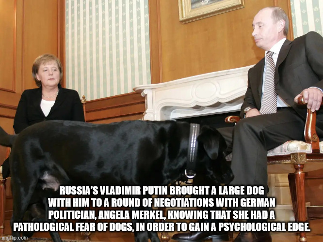 Russia'S Vladimir Putin Brought A Large Dog With Him To A Round Of Negotiations With German Politician, Angela Merkel, Knowing That She Hada Pathological Fear Of Dogs. In Order To Gain A Psychological Edge imgflip.com