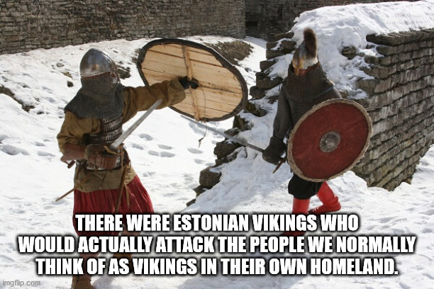 alpesh patel - There Were Estonian Vikings Who Would Actually Attack The People We Normally Think Of As Vikings In Their Own Homeland. imgflip.com