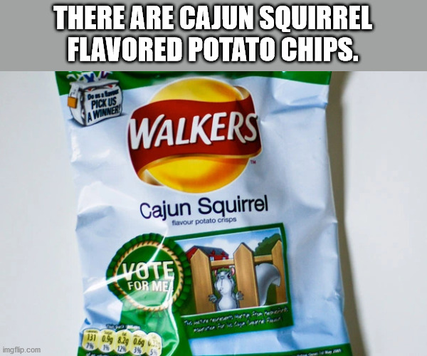 walkers crisps - There Are Cajun Squirrel Flavored Potato Chips. Pick Us Winner Walkers Cajun Squirrel flavour potato crisps For Me Men imgflip.com