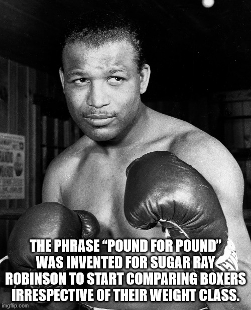 best boxing champions - The Phrase Pound For Pound" Was Invented For Sugar Ray Robinson To Start Comparing Boxers Irrespective Of Their Weight Class. imgflip.com