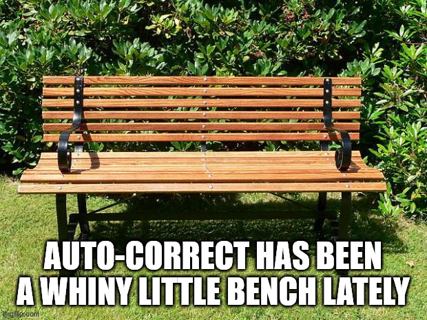 garden chair - AutoCorrect Has Been A Whiny Little Bench Lately