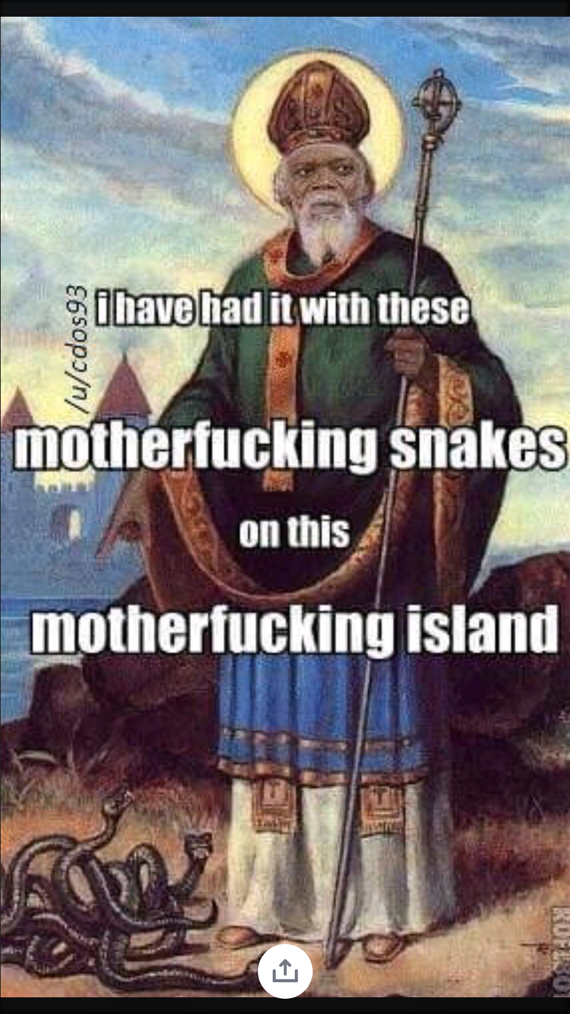 saint patrick - i have had it with these ucdos93 motherfucking snakes on this motherfucking island