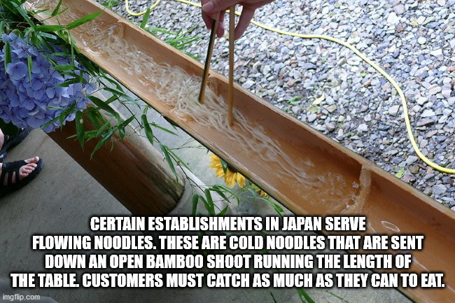 Certain Establishments In Japan Serve Flowing Noodles. These Are Cold Noodles That Are Sent Down An Open Bamboo Shoot Running The Length Of The Table, Customers Must Catch As Much As They Can To Eat. imgflip.com
