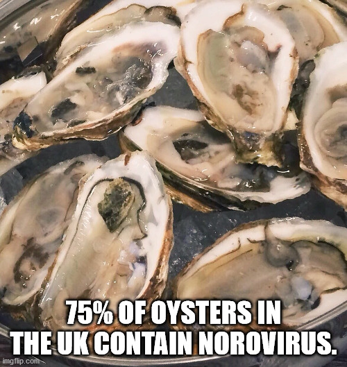 oyster - 75% Of Oysters In The Uk Contain Norovirus. imgflip.com
