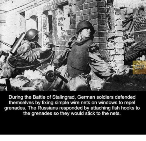 battle of stalingrad - During the Battle of Stalingrad, German soldiers defended themselves by fixing simple wire nets on windows to repel grenades. The Russians responded by attaching fish hooks to the grenades so they would stick to the nets.