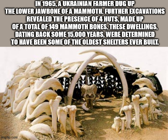 mammoth bone house - In 1965, A Ukrainian Farmer Dug Up The Lower Jawbone Of A Mammoth. Further Excavations Revealed The Presence Of 4 Huts. Made Up Of A Total Of 149 Mammoth Bones. These Dwellings. Dating Back Some 15.000 Years, Were Determined To Have B