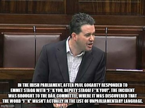paul gogarty - In The Irish Parliament. After Paul Gogarty Responded To Emmet Stagg With "FK You, Deputy Stagg! FK You!", The Incident Was Brought To The Dail Committee, Where It Was Discovered That The Word "FK" Wasn'T Actually In The List Of Unparliamen