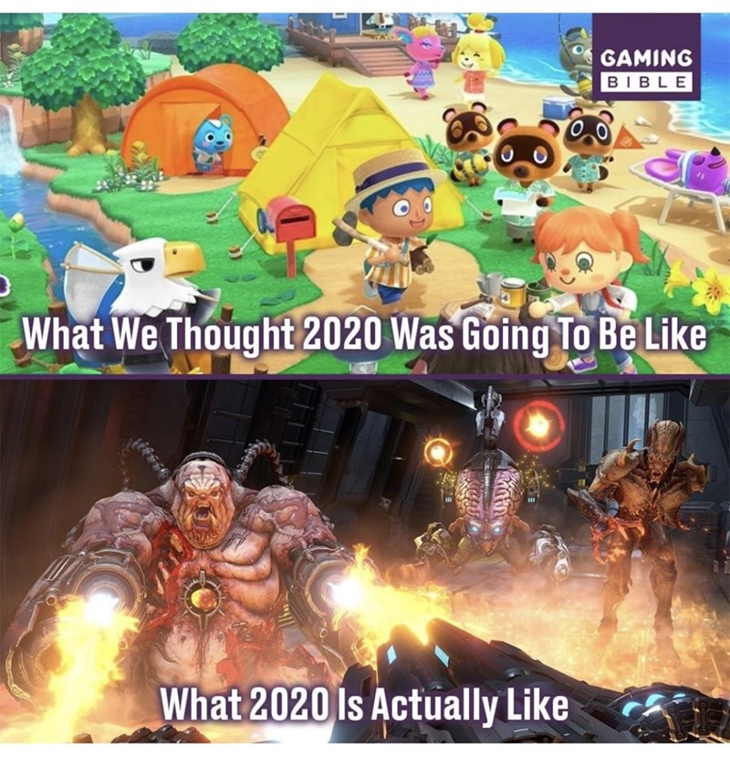 animal crossing new horizons - Gaming Bible What We Thought 2020 Was Going To Be What 2020 Is Actually