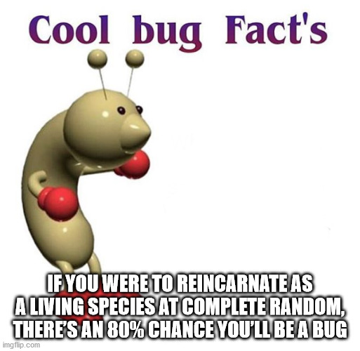 meme - Cool bug Fact's If You Were To Reincarnate As A Living Species At Complete Random, There'S An 80% Chance You'Ll Be A Bug imgflip.com