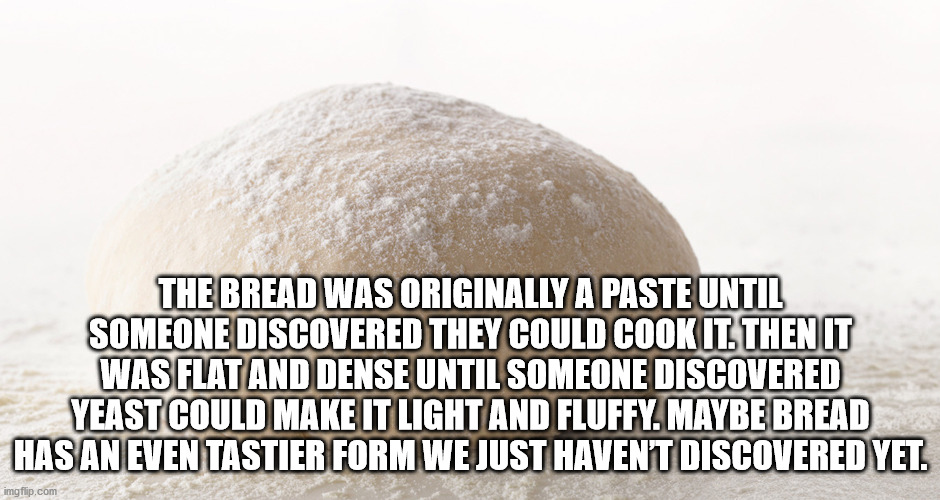 disco pogo - The Bread Was Originally A Paste Until Someone Discovered They Could Cook It Then It Was Flat And Dense Until Someone Discovered Yeast Could Make It Light And Fluffy. Maybe Bread Has An Even Tastier Form We Just Havent Discovered Yet. imgflip