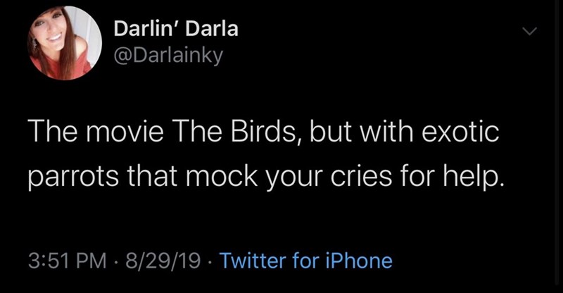 darkness - Darlin Darlin' Darla The movie The Birds, but with exotic parrots that mock your cries for help. 82919 Twitter for iPhone