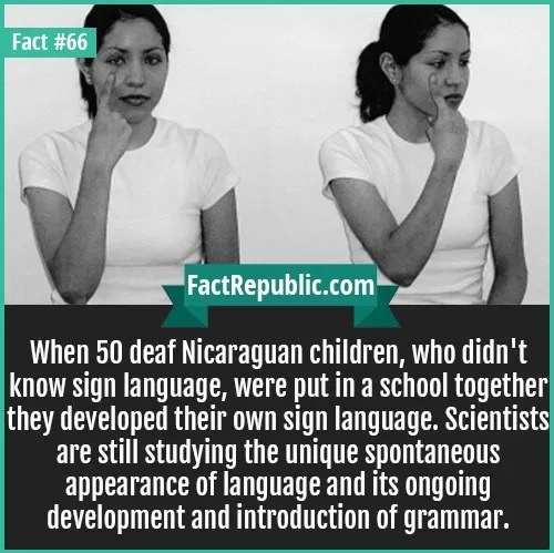 shoulder - Fact FactRepublic.com When 50 deaf Nicaraguan children, who didn't know sign language, were put in a school together they developed their own sign language. Scientists are still studying the unique spontaneous appearance of language and its ong