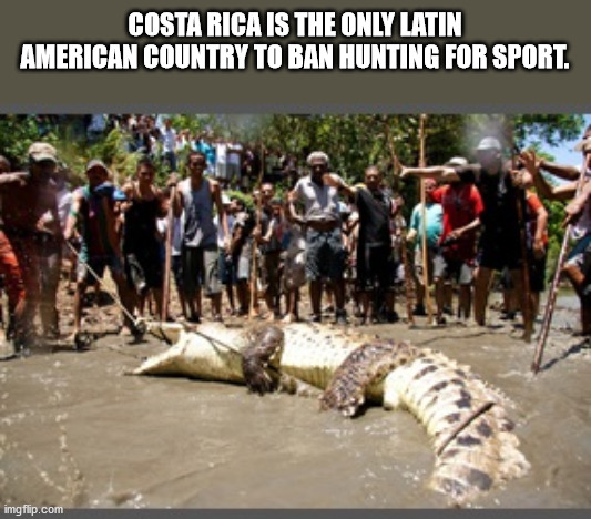 santa cruz guanacaste costa rica - Costa Rica Is The Only Latin American Country To Ban Hunting For Sport. imgflip.com