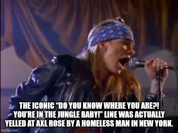 The Iconic "Do You Know Where You Are! You'Re In The Jungle Baby! Line Was Actually Yelled At Axl Rose By A Homeless Man In New York. imgflip.com