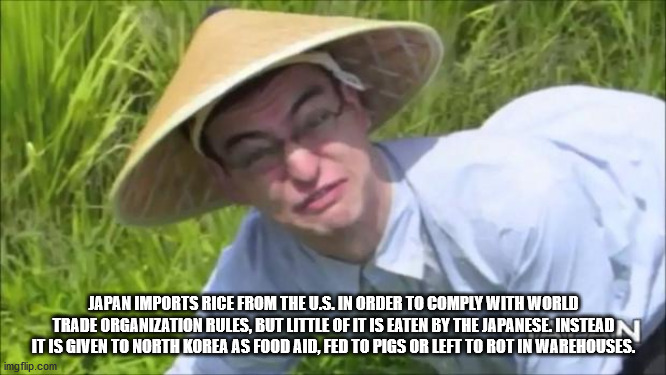 welcome to the rice fields - Japan Imports Rice From The U.S. In Order To Comply With World Trade Organization Rules, But Little Of It Is Eaten By The Japanese Instead Ni It Is Given To North Korea As Food Aid, Fed To Pigs Or Left To Rot In Warehouses. im