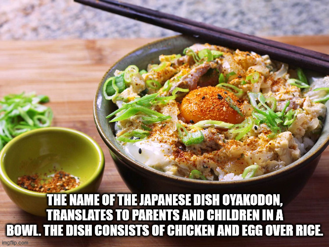 difference between eastern and western food - The Name Of The Japanese Dish Oyakodon, Translates To Parents And Children In A Bowl. The Dish Consists Of Chicken And Egg Over Rice imgflip.com