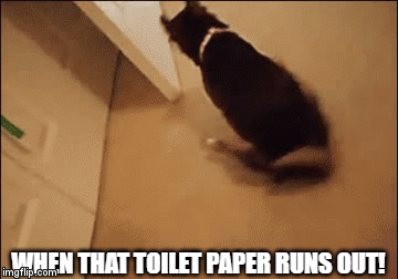 photo caption - When That Toilet Paper Runs Out!