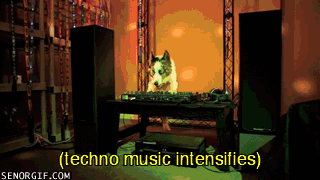dog techno gif - techno music intensifies Senorgif.Com