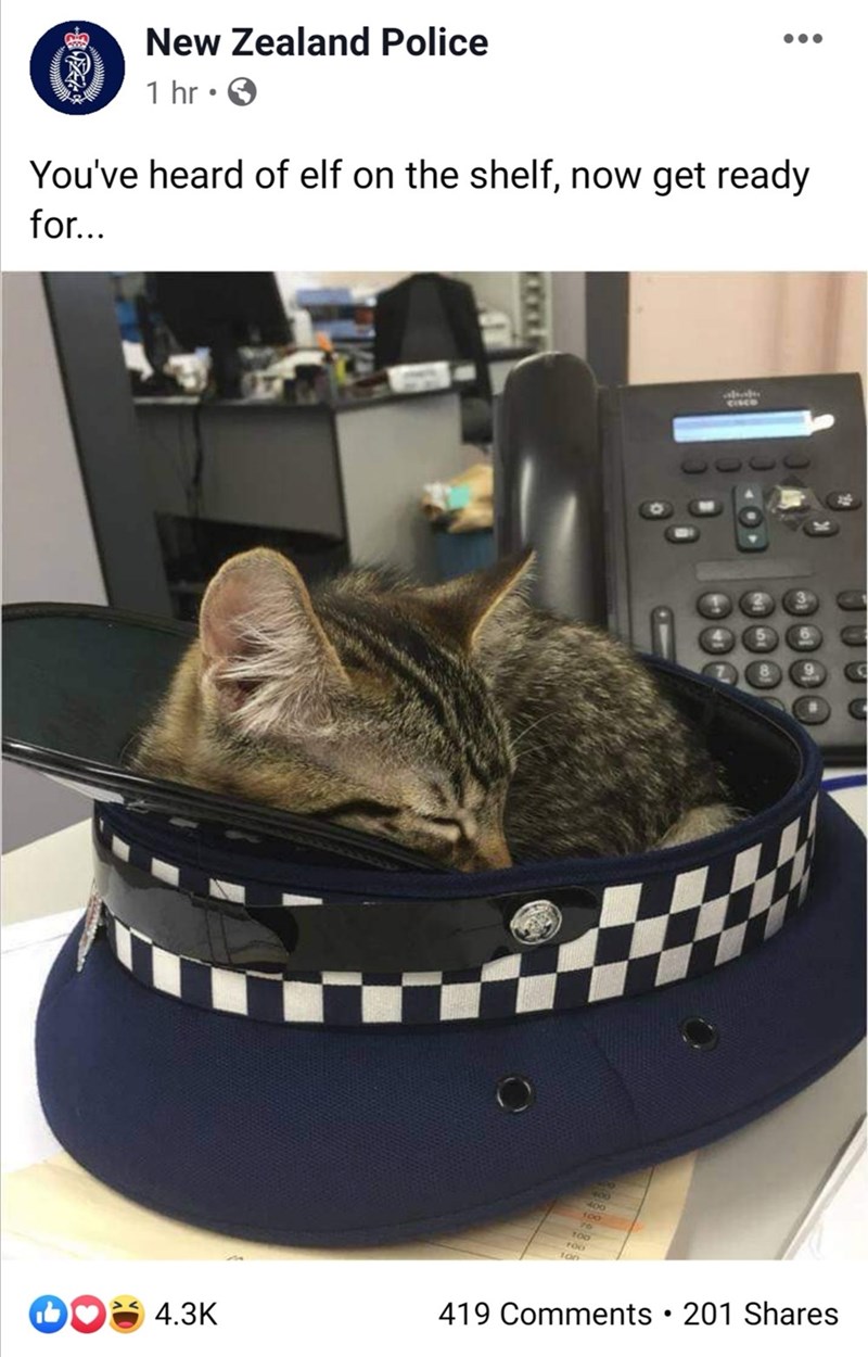 nz police facebook funny - Es New Zealand Police 1 hr 5 You've heard of elf on the shelf, now get ready for... Gioco 419 201