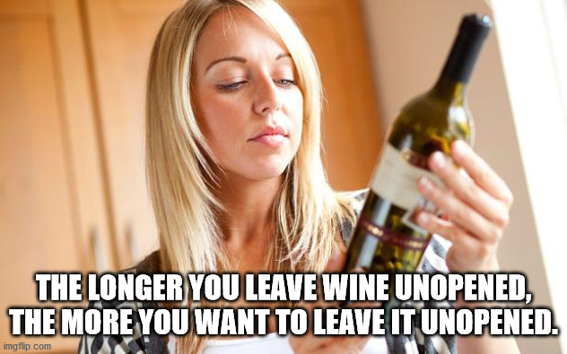 drinking for inspiration - The Longer You Leave Wine Unopened, The More You Want To Leave It Unopened. imgflip.com