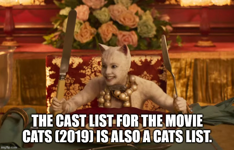 cats roaches movie - The Cast List For The Movie Cats 2019 Is Also A Cats List. imgflip.com