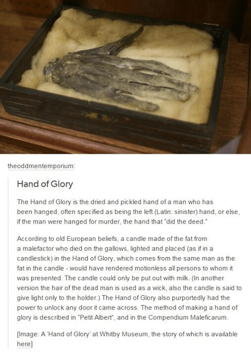 hand of glory whitby museum - theoddmentemporium Hand of Glory The Hand of Glory is the dried and pickled hand of a man who has been hanged, often specified as being the left Latin sinister hand, or else, if the man were hanged for murder, the hand that d