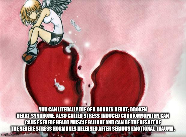 funny broken heart memes - You Can Literally Die Of A Broken Heart; Broken Heart Syndrome, Also Called StressInduced Cardiomyopathy Can Cause Severe Heart Muscle Failure And Can Be The Result Of The Severe Stress Hormones Released After Serious Emotional 