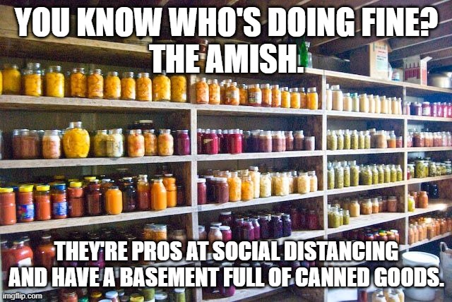 inventory - You Know Who'S Doing Fine? The Amishi Metro L They'Re Pros At Social Distancing And Have A Basement Full Of Canned Goods. P They'Re imgflip.com