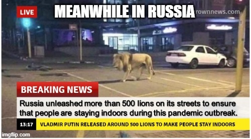 Live Meanwhile In Russia Breaking News Russia unleashed more than 500 lions on its streets to ensure that people are staying indoors during this pandemic outbreak. Vladmir Putin Released Around 500 Lions To Make People Stay Indoors imgflip.com