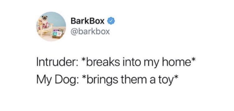 diagram - BarkBox Intruder breaks into my home My Dog brings them a toy