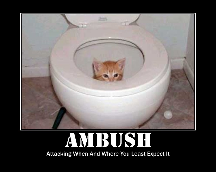 Ambush Attacking When And Where You Least Expect It