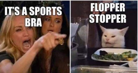 ford cat meme - It'S A Sports Bra Flopper Stopper