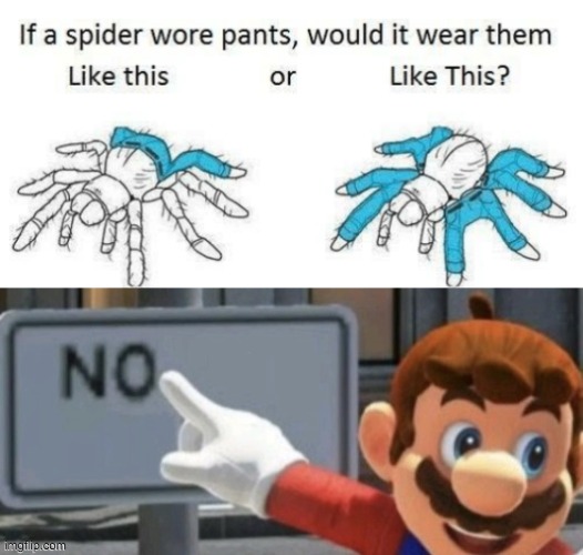 spider wear pants - If a spider wore pants, would it wear them this or This? Ingtip.com