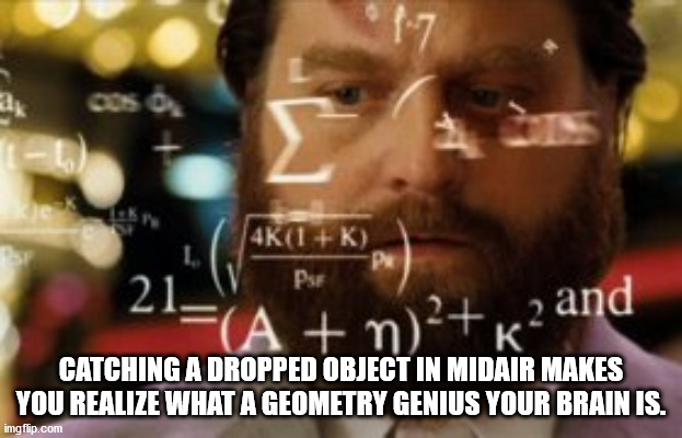 calculating meme - 4K1K Pse A m22 and Catching A Dropped Object In Midair Makes You Realize What A Geometry Genius Your Brains. imgflip.com