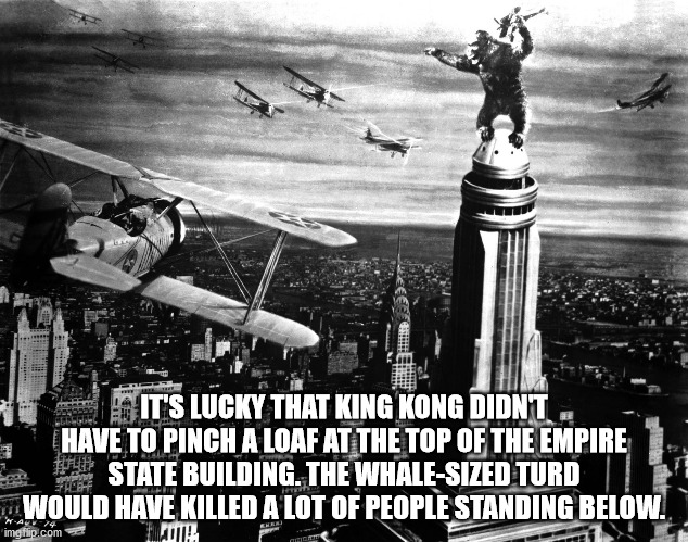 king kong 1933 - . E It'S Lucky That King Kong Didnt . Have To Pinch A Loaf At The Top Of The Empire State Building. The WhaleSized Turd Would Have Killed A Lot Of People Standing Below. imofio.com Mad!! Cas