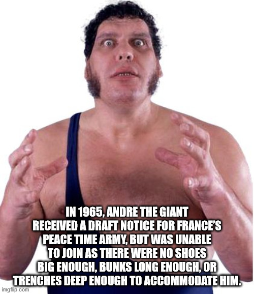 andre the giant and macho man - In 1965, Andre The Giant Received A Draft Notice For France'S Peace Time Army, But Was Unable To Join As There Were No Shoes Big Enough. Bunks Long Enough.Or Trenches Deep Enough To Accommodate Him. imgflip.com