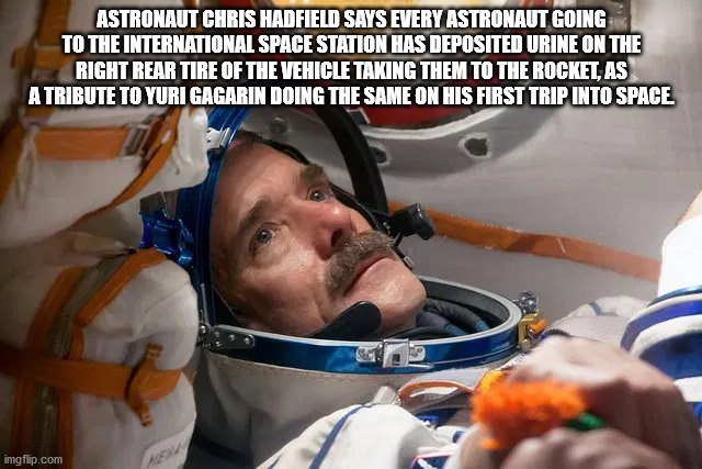 early success is a terrible teacher - Astronaut Chris Hadfield Says Every Astronaut Going To The International Space Station Has Deposited Urine On The Right Rear Tire Of The Vehicle Taking Them To The Rocket As A Tribute To Yuri Gagarin Doing The Same On