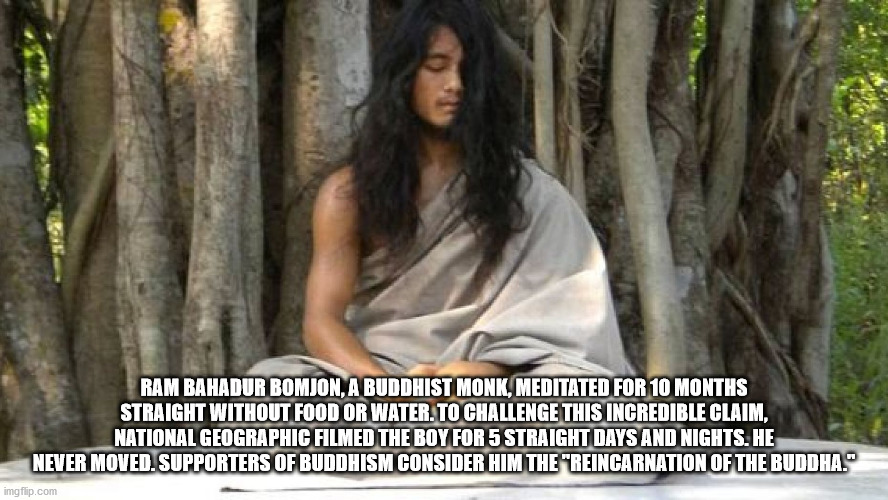tree - Ram Bahadur Bomjon, A Buddhist Monk, Meditated For 10 Months Straight Without Food Or Water.To Challenge This Incredible Claim, National Geographic Filmed The Boy For 5 Straight Days And Nights. He Never Moved. Supporters Of Buddhism Consider Him T