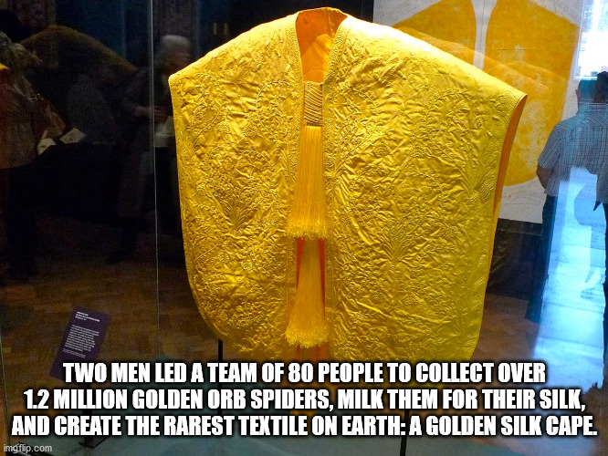 extreme production music - Two Men Led A Team Of 80 People To Collect Over 1.2 Million Golden Orb Spiders, Milk Them For Their Silk. And Create The Rarest Textile On Earth A Golden Silk Cape. imgflip.com