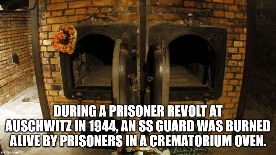 auschwitz burning bodies - During A Prisoner Revolt At Auschwitz In 1944, An Ss Guard Was Burned Alive By Prisoners In A Crematorium Oven. imgflip.com