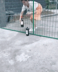 asian woman wine bottle fence