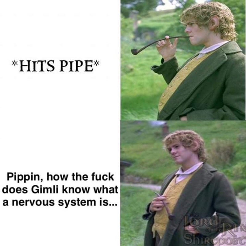 Merry Brandybuck Lord of the Rings - hits pipe think about it logically meme - Hits Pipe - Pippin, how the fuck does Gimli know what a nervous system is...