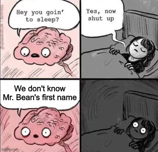 brain at 3am meme - Hey you goin' to sleep? - Yes, now shut up - We don't know Mr. Bean's first name