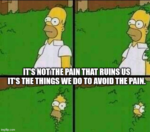 homer simpson bush meme - It'S Not The Pain That Ruins Us It'S The Things We Do To Avoid The Pain.