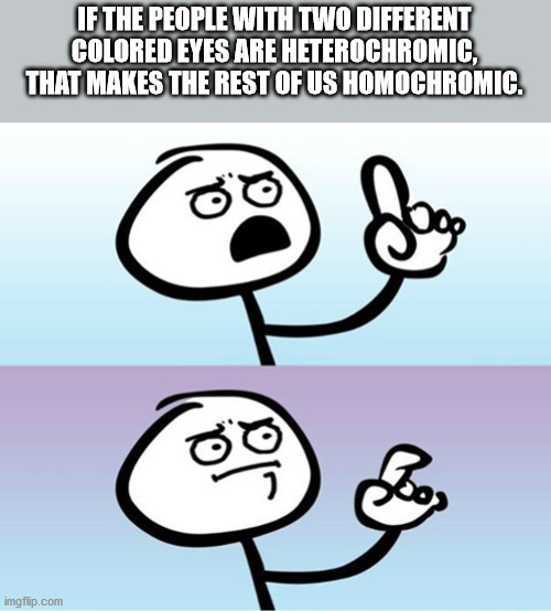 can't argue meme - If The People With Two Different Colored Eyes Are Heterochromic. That Makes The Rest Of Us Homochromic.