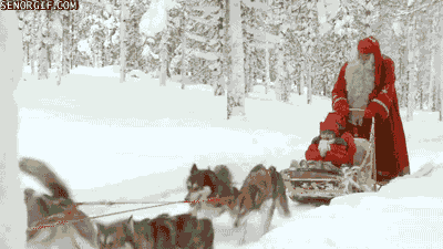 funny sleigh gif - Senorgle.Com