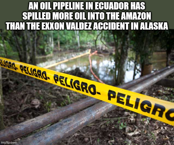 krit money on the floor - An Oil Pipeline In Ecuador Has Spilled More Oil Into The Amazon Than The Exxon Valdez Accident In Alaska 1600. Peligro. Peligro. Peligro imgflip.com