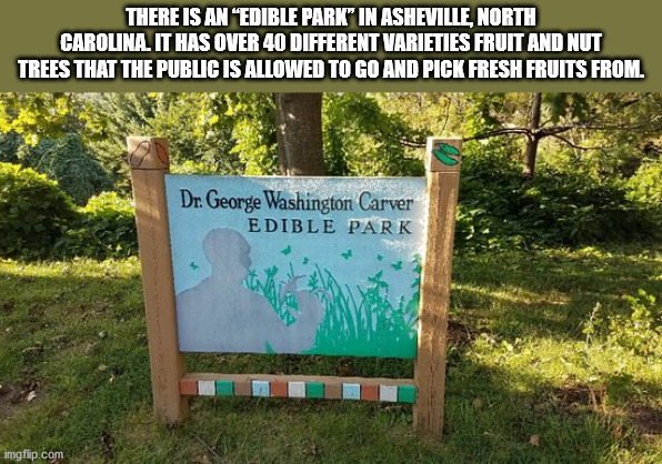 edible park asheville - There Is An "Edible Park" In Asheville North Carolina. It Has Over 40 Different Varieties Fruit And Nut Trees That The Public Is Allowed To Go And Pick Fresh Fruits From Dr. George Washington Carver Edible Park imgflip.com