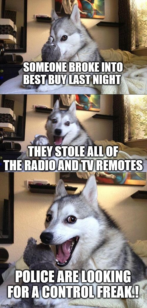 dog meme joke - Someone Broke Into Best Buy Last Night They Stole All Of The Radio And Tv Remotes Police Are Looking For A Control Freak.! imgflip.com